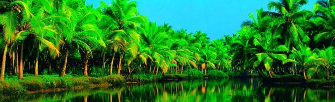 Chaandhni Lake View Hotel Alappuzha Esterno foto